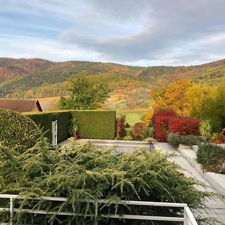 Osenbach Logement De Charme Au Coeur De La Nature מראה חיצוני תמונה