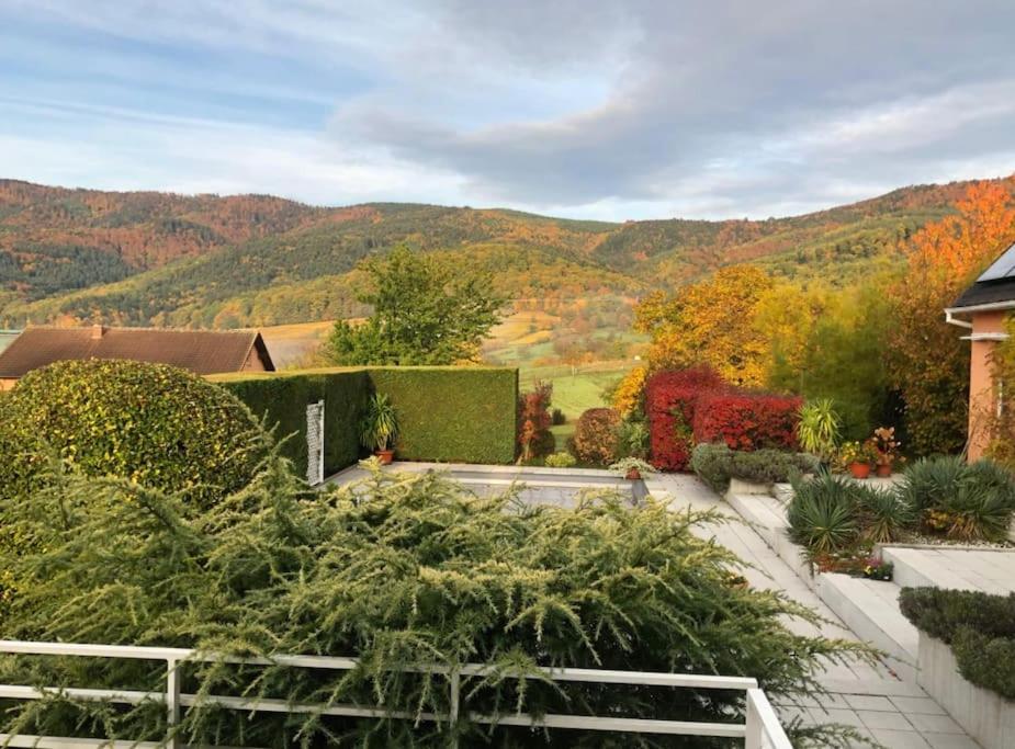 Osenbach Logement De Charme Au Coeur De La Nature מראה חיצוני תמונה