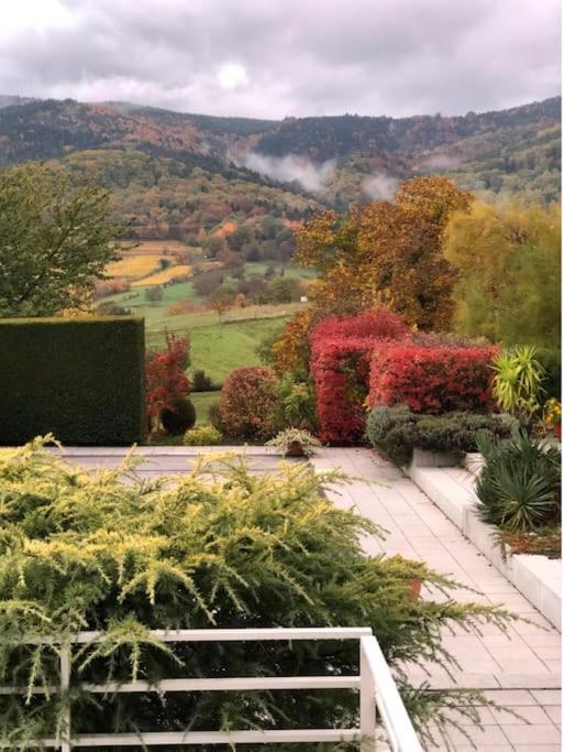 Osenbach Logement De Charme Au Coeur De La Nature מראה חיצוני תמונה