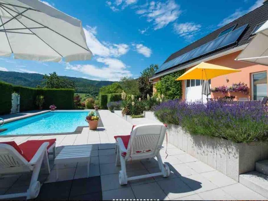 Osenbach Logement De Charme Au Coeur De La Nature מראה חיצוני תמונה